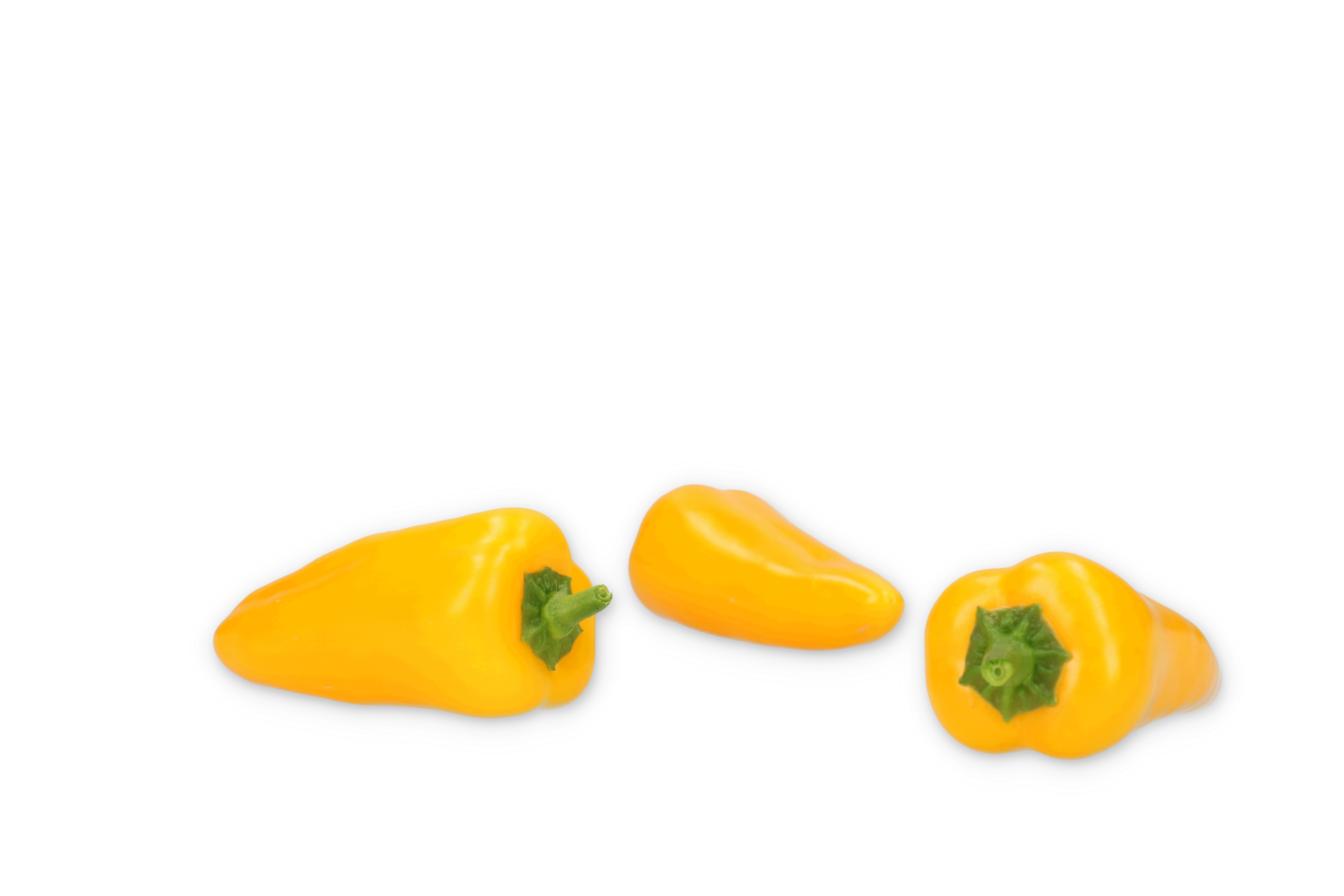 高田種苗オンライン / やさいのたね