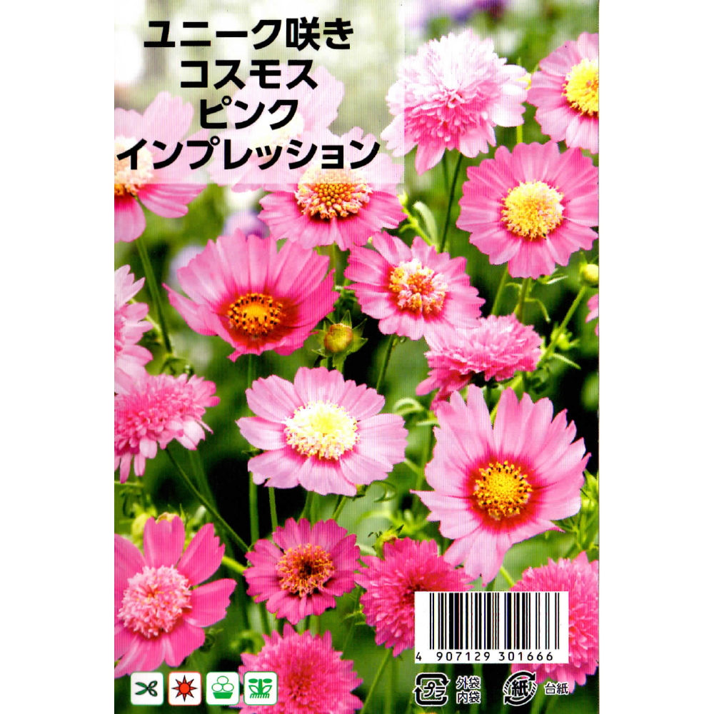 高田種苗オンラインショップ ユニーク咲きコスモスピンクインプレッション