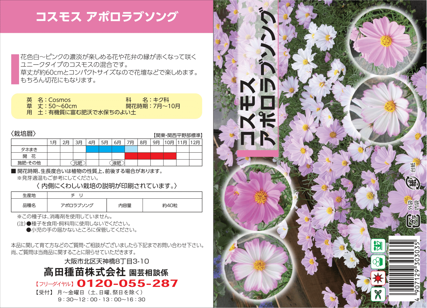 コスモス　アポロラブソング　1袋